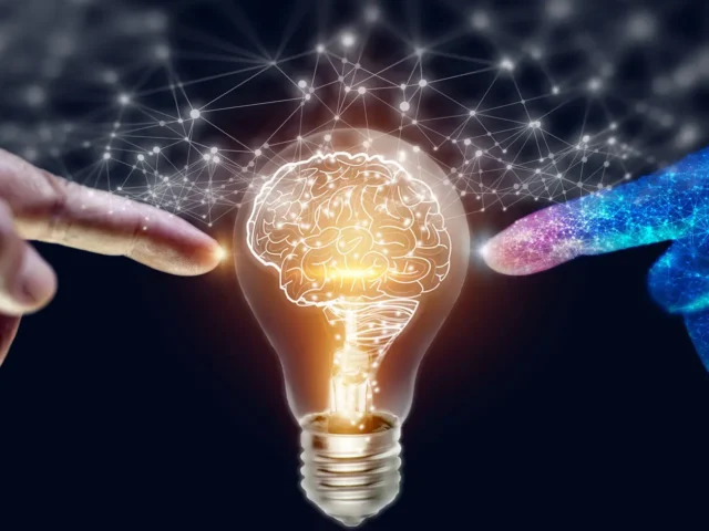 Intellectual Property Disputes: Your Guide on Intellectual Property Infringements